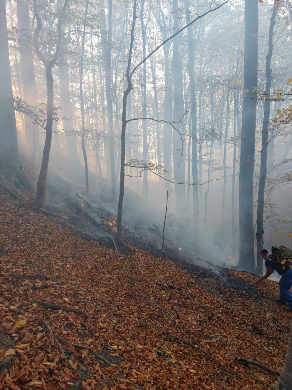 Incendiu puternic pe Valea Doftanei, în Prahova! Ard 12.000 de mp de pădure, lângă Barajul Paltinu 866536