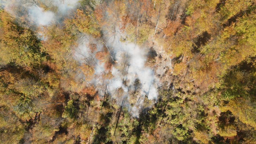 Incendiu puternic pe Valea Doftanei, în Prahova! Ard 12.000 de mp de pădure, lângă Barajul Paltinu 866546