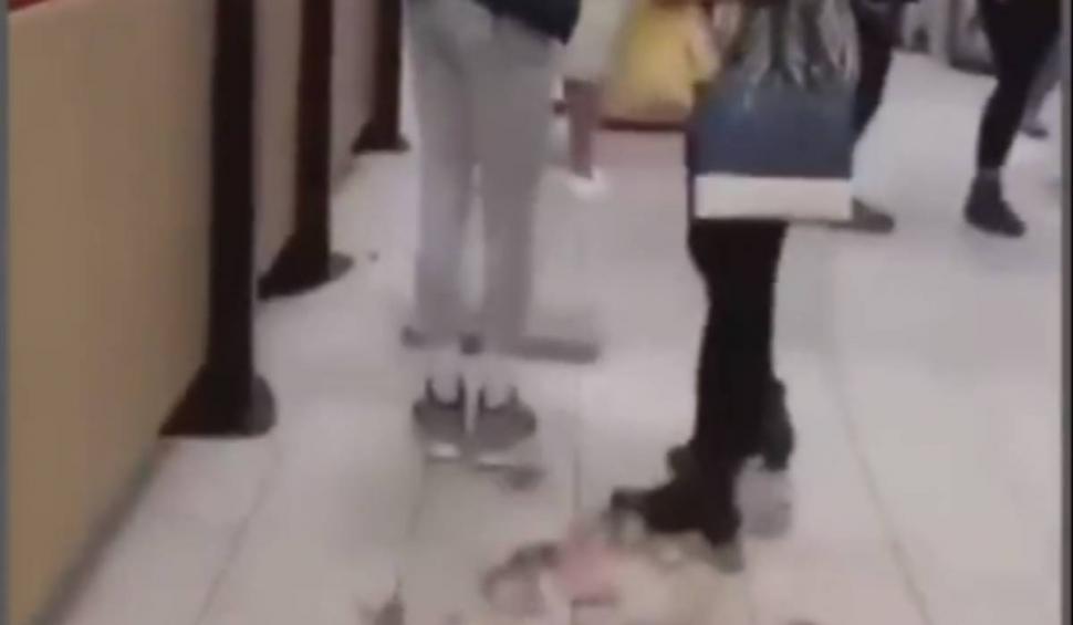 Zeci de șoareci vopsiți în culorile Palestinei, aruncați într-un restaurant McDonald's, plin cu clienți, din Marea Britanie 866599