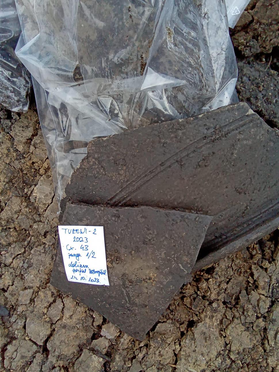 Descoperire inedită la Cluj, pe șantierul drumului expres spre Autostrada Transilvania | Dovada că aici trăiesc români de mii de ani 866790