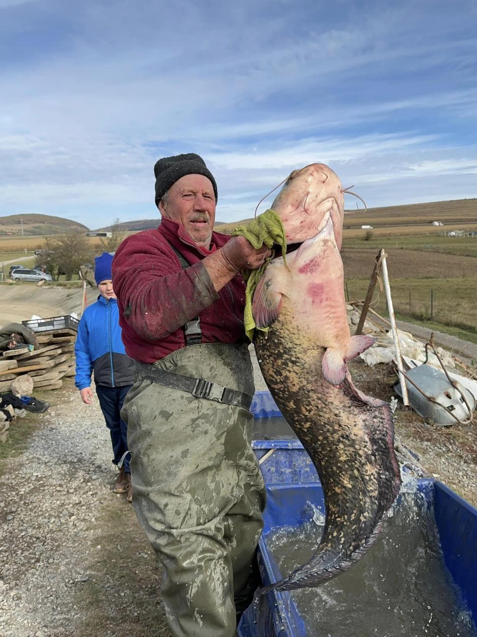 Somn de 24 de kilograme, capturat de un pescar clujean pe Lacul Filea Mare | Preţul la care a decis să-l vândă 867337