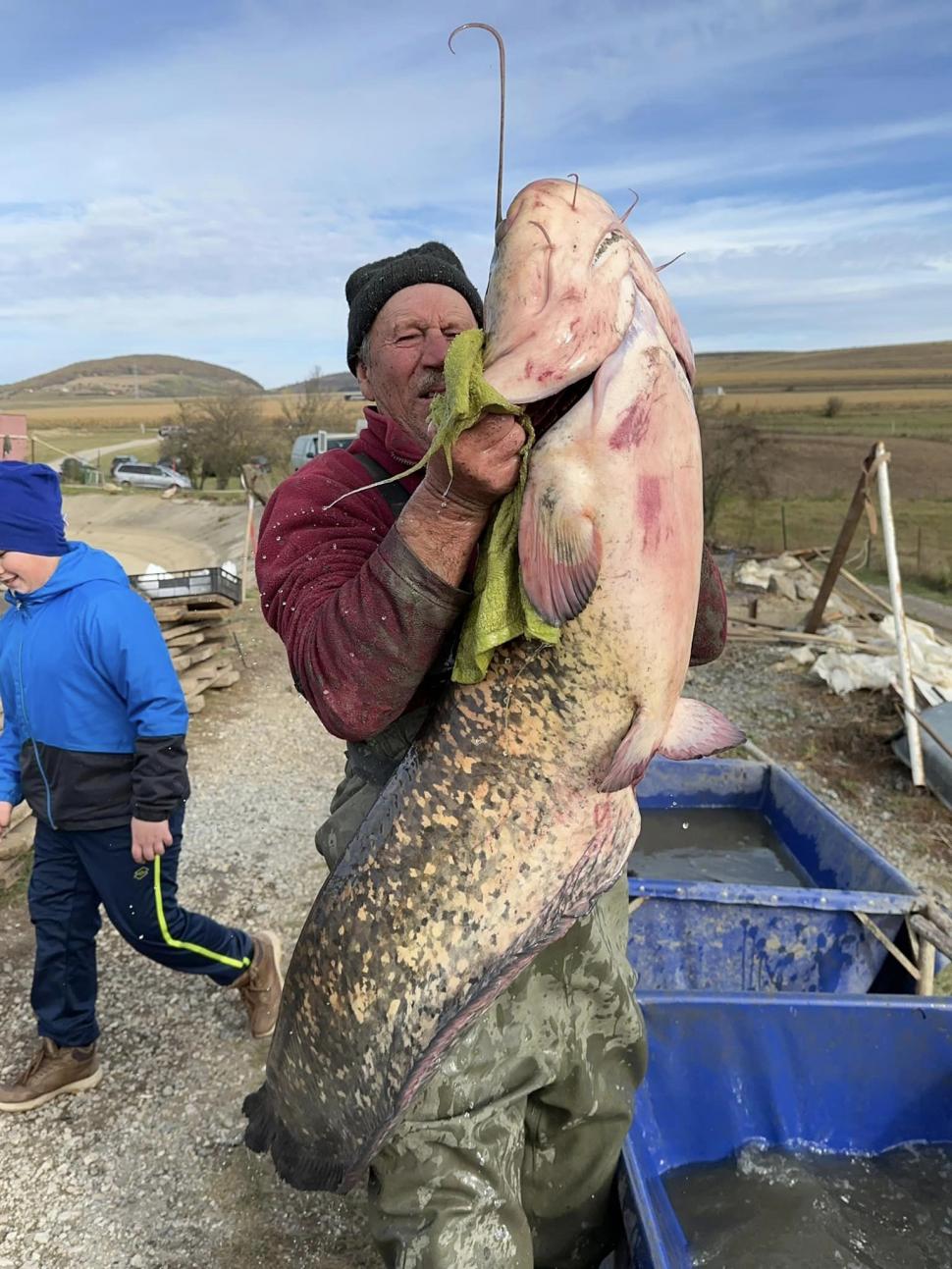 Somn de 24 de kilograme, capturat de un pescar clujean pe Lacul Filea Mare | Preţul la care a decis să-l vândă 867339