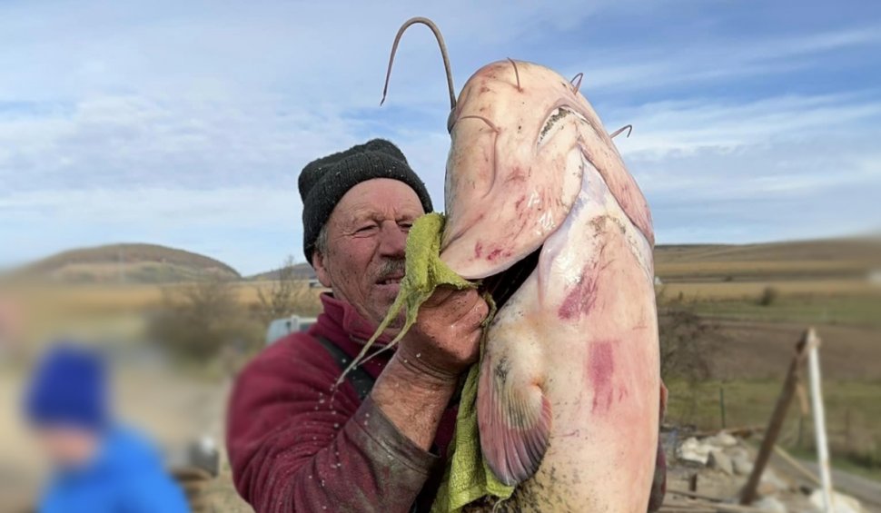 Somn de 24 de kilograme, capturat de un pescar clujean pe Lacul Filea Mare | Preţul la care a decis să-l vândă