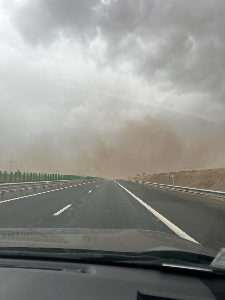 Fenomen rar, surprins pe Autostrada Soarelui. "Am crezut că ne zboară de pe șosea" 867290