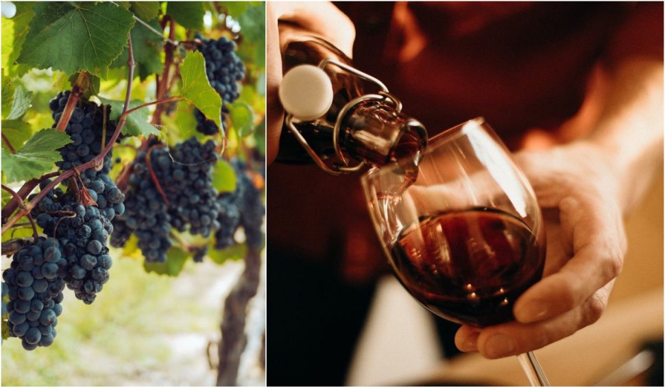 Producția de vin din 2023 a scăzut dramatic din cauza fenomenelor meteorologice extreme