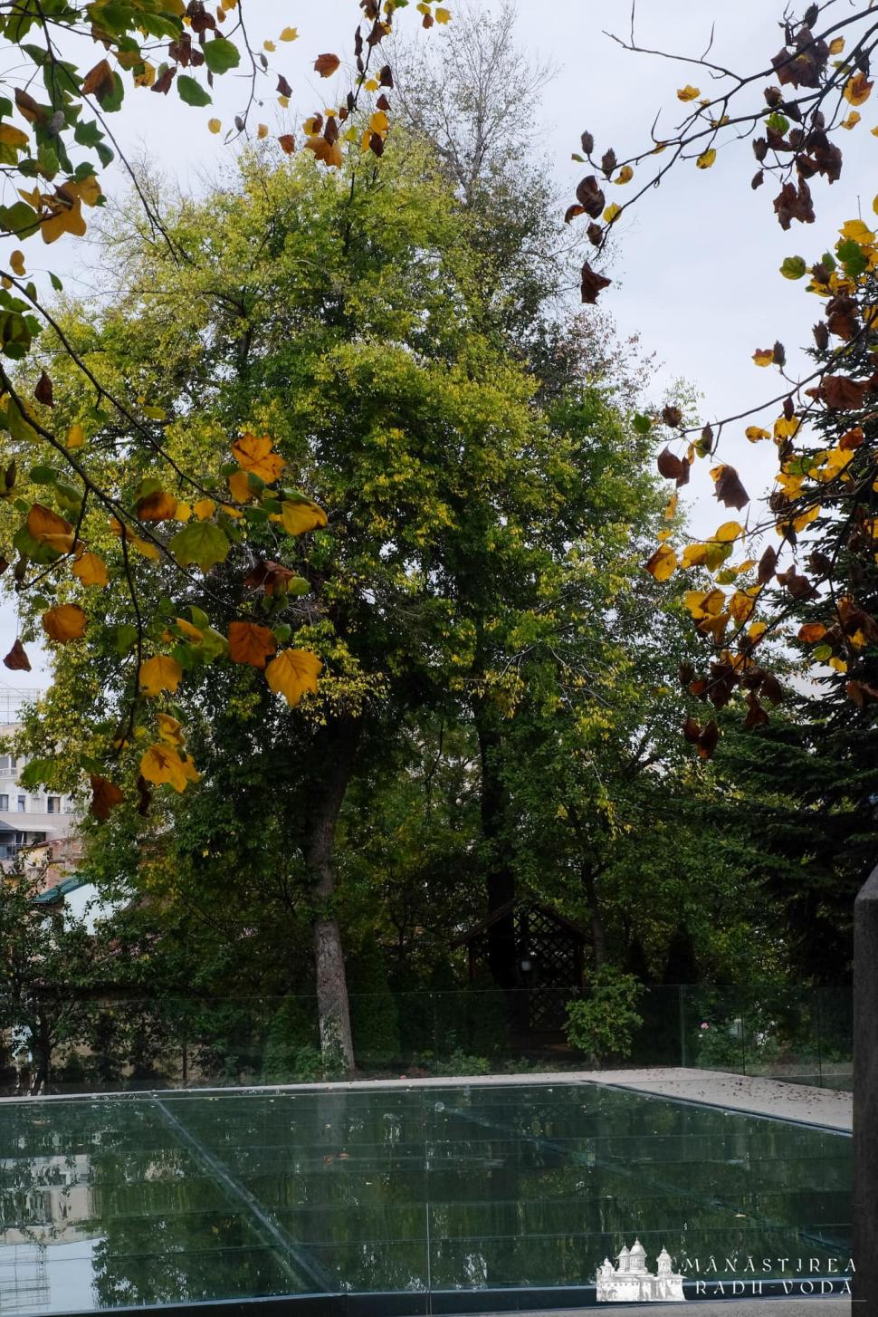 Mii de pelerini la Mănăstirea Radu Vodă din Bucureşti pentru a se închina la racla cu moaştele Sfântului Nectarie 868270