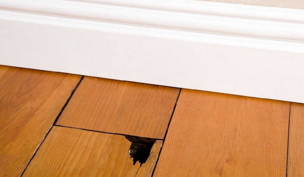 Descoperirea făcută de o femeie după ce s-a uitat sub scândurile din podeaua casei. Imaginile incredibile, postate pe internet: "Sunt cu adevărat îngrozit”