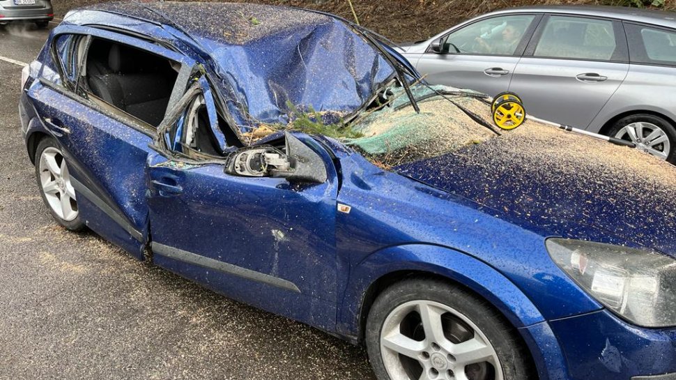 Doi tineri au murit într-un accident, după ce maşina în care erau a fost strivită de un copac, în Timiș