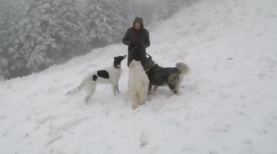 Ninge la munte! Strat gros de zăpadă, depus în mai multe zone | Peisaje de poveste surprinse de salvamontiști 868776