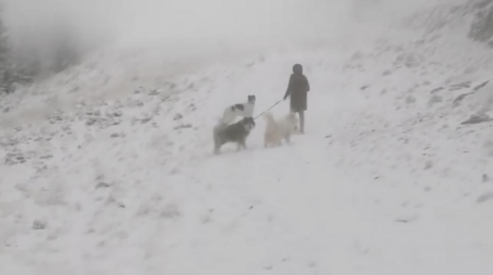 Ninge la munte! Strat gros de zăpadă, depus în mai multe zone | Peisaje de poveste surprinse de salvamontiști 868777