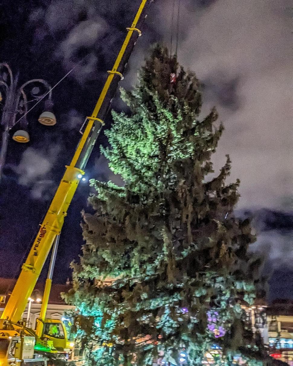 Bradul de Crăciun, adus cu o adevărată desfăşurare de forţe în Piaţa Sfatului din Braşov | "Are 73 de ani şi 23,5 de metri înălţime" 869529