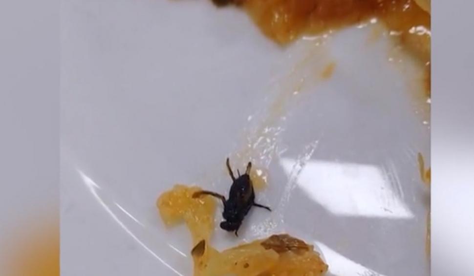 Academia de Poliție, reacție după scandalul privind mâncarea stricată de la cantină: "Nu au mai fost semnalate cazuri de îmbolnăvire în rândul studenților" 870020