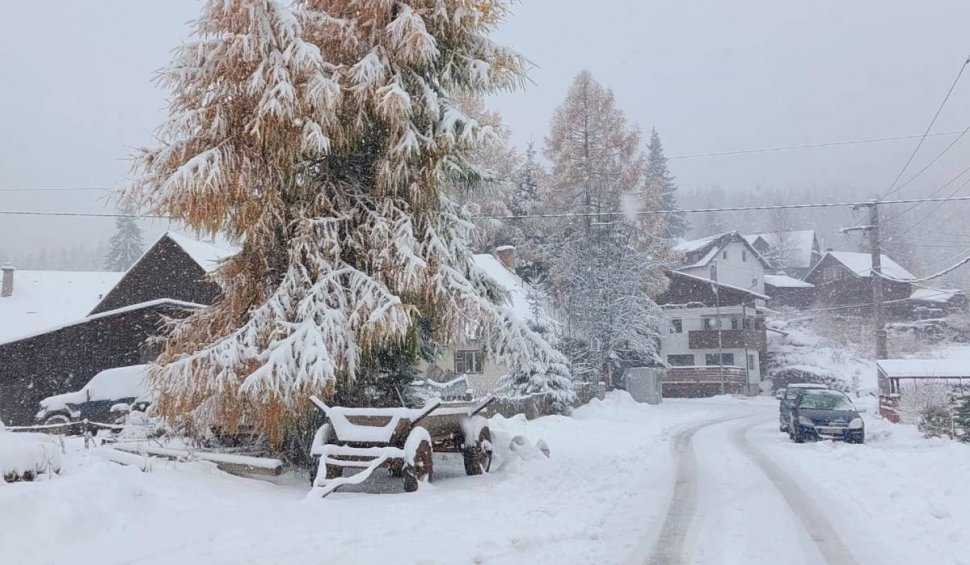 Ninge ca în povești în Harghita! "Am deschis sezonul de schi la Mădăraș"