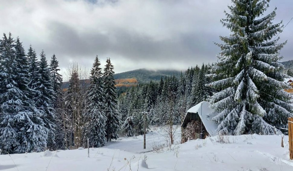 S-a deschis una din pârtiile de la Harghita-Băi! Imagini de poveste cu stațiunea acoperită de zăpadă