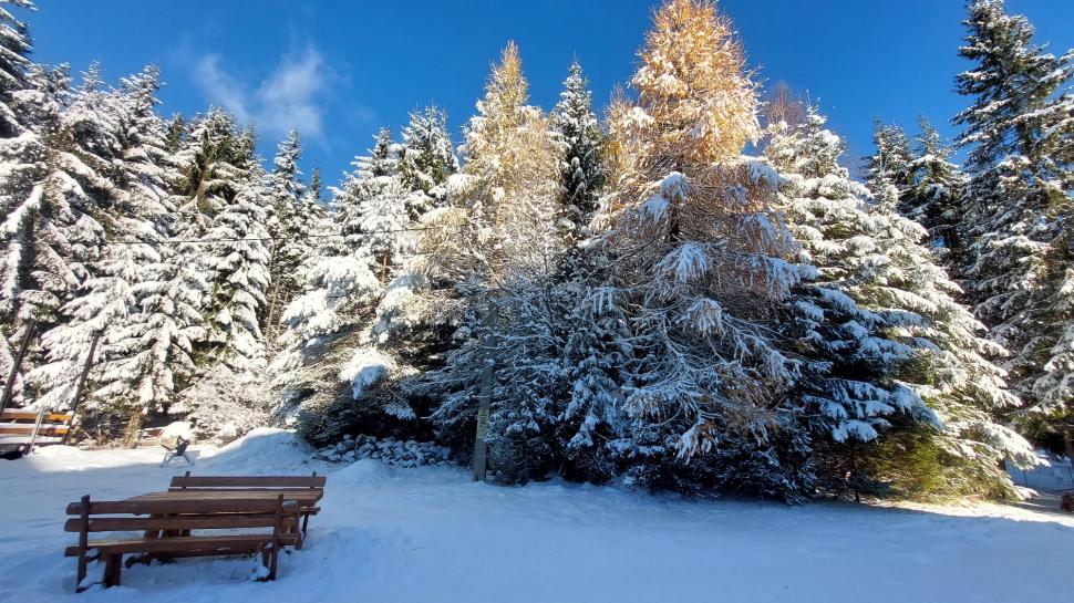 S-a deschis una din pârtiile de la Harghita-Băi! Imagini de poveste cu stațiunea acoperită de zăpadă 870098