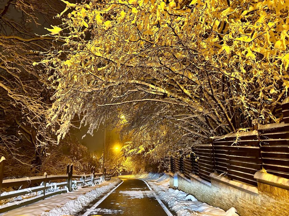 Staţiunile de la munte, pline cu turişti în primul weekend cu zăpadă: "Avem pârtie pregătită" 870135