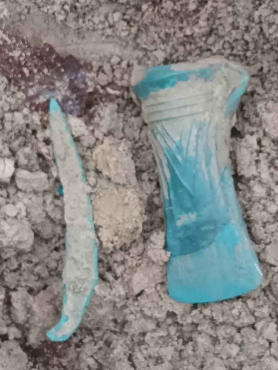 Comoara veche de 3.000 de ani descoperită într-o pădure din Bihor 870414