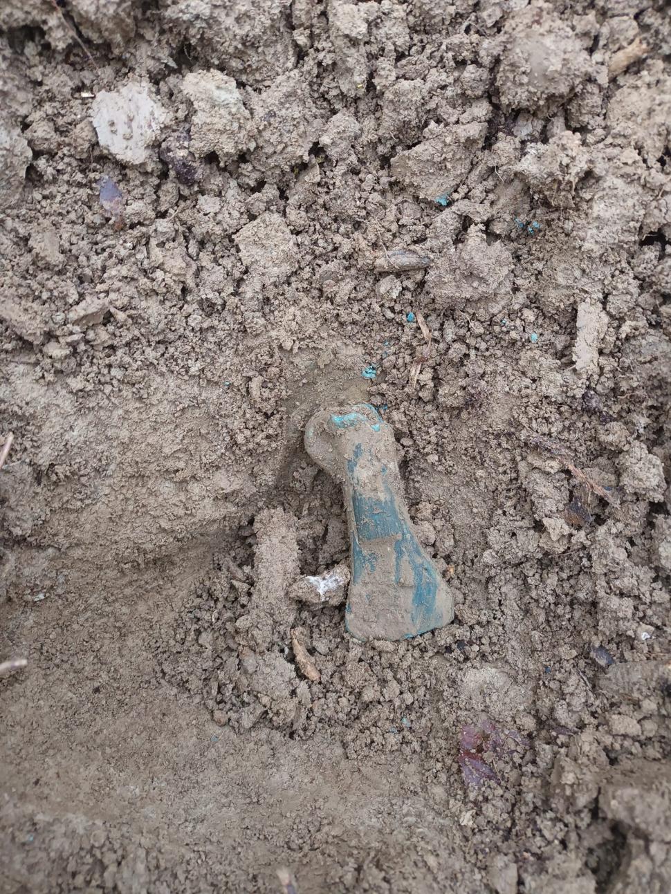 Comoara veche de 3.000 de ani descoperită într-o pădure din Bihor 870419