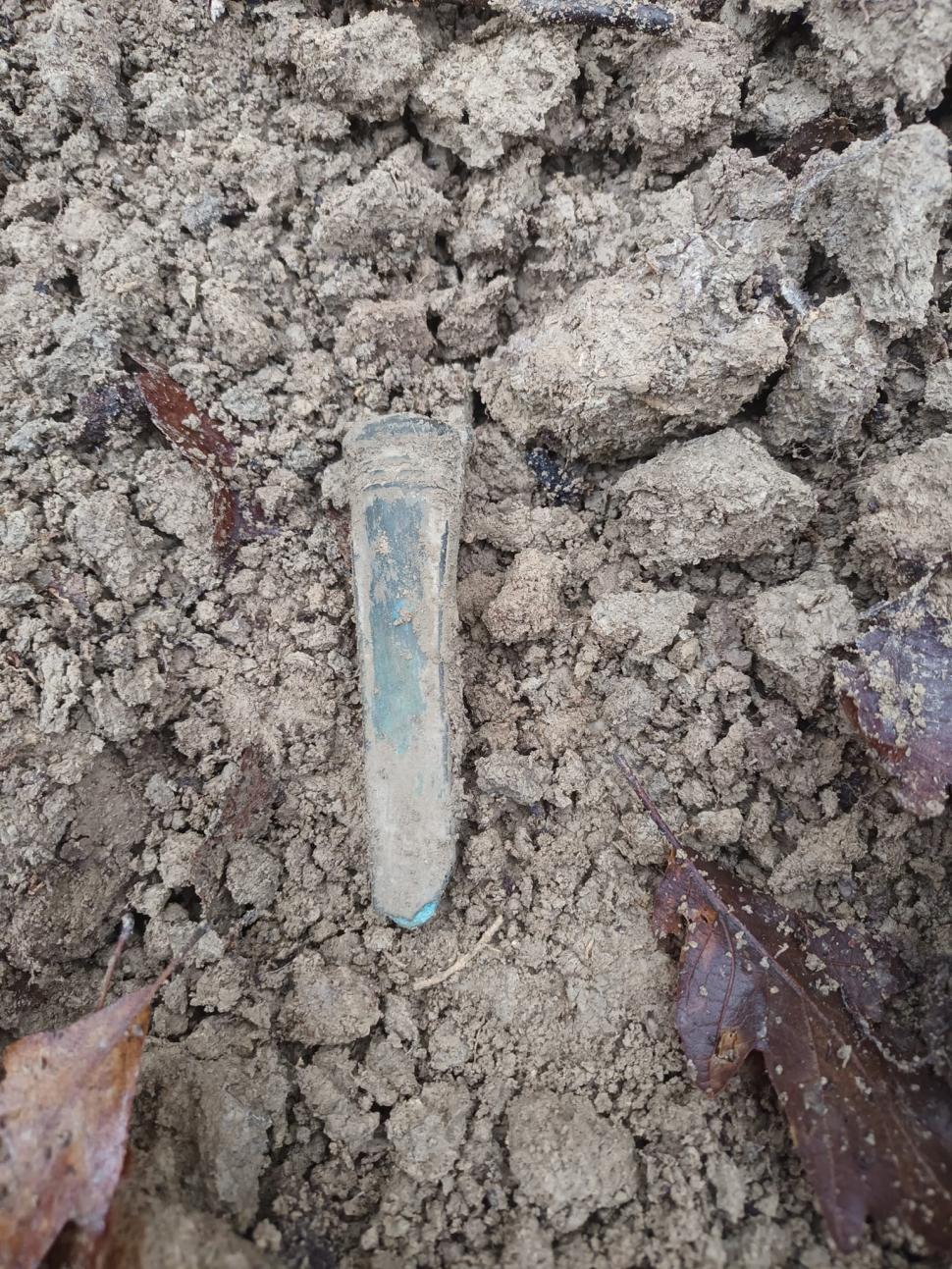 Comoara veche de 3.000 de ani descoperită într-o pădure din Bihor 870421