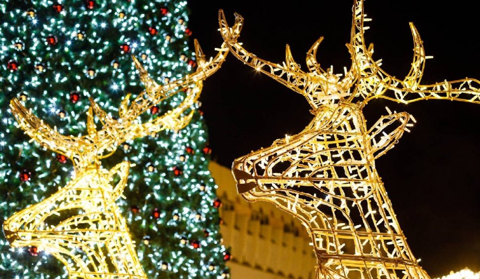 Atracțiile Târgului de Crăciun din Timișoara. Surpriza pregătită pentru vizitatori: "A fost făcut pentru Dubai, dar a ajuns la noi"