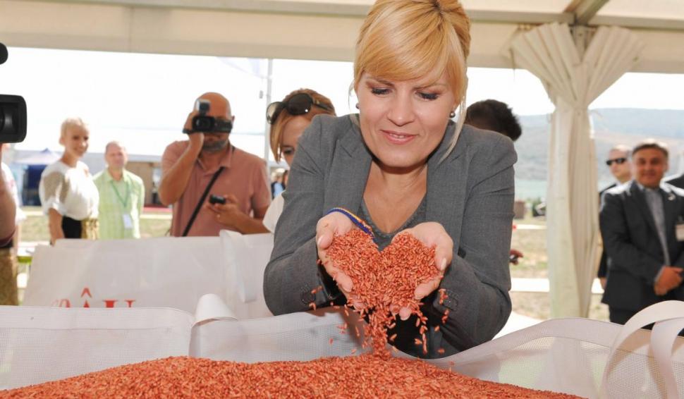 Elena Udrea și Ioana Băsescu scapă definitiv de condamnările din dosarul campaniei pentru Traian Băsescu 870934