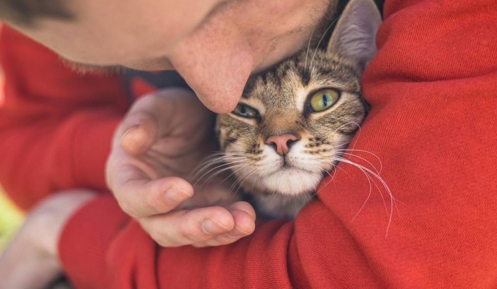 Român din Italia, salvat de la moarte de pisica sa. A fost la un pas să ardă de viu în locuința cuprinsă de flăcări 