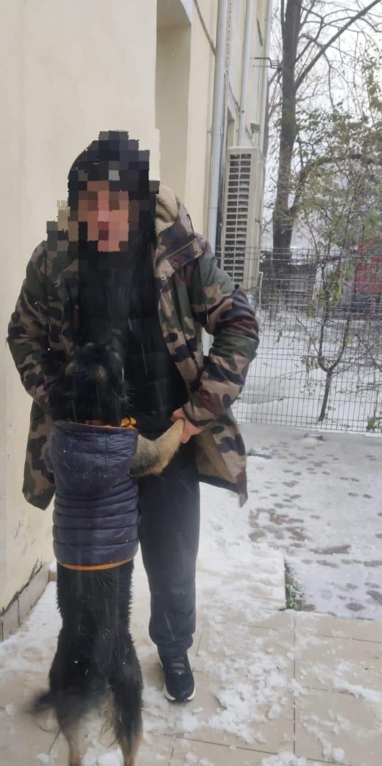Un bărbat fără locuinţă a cerut ajutor poliţiştilor pentru el şi câinele lui, în Constanţa 871614
