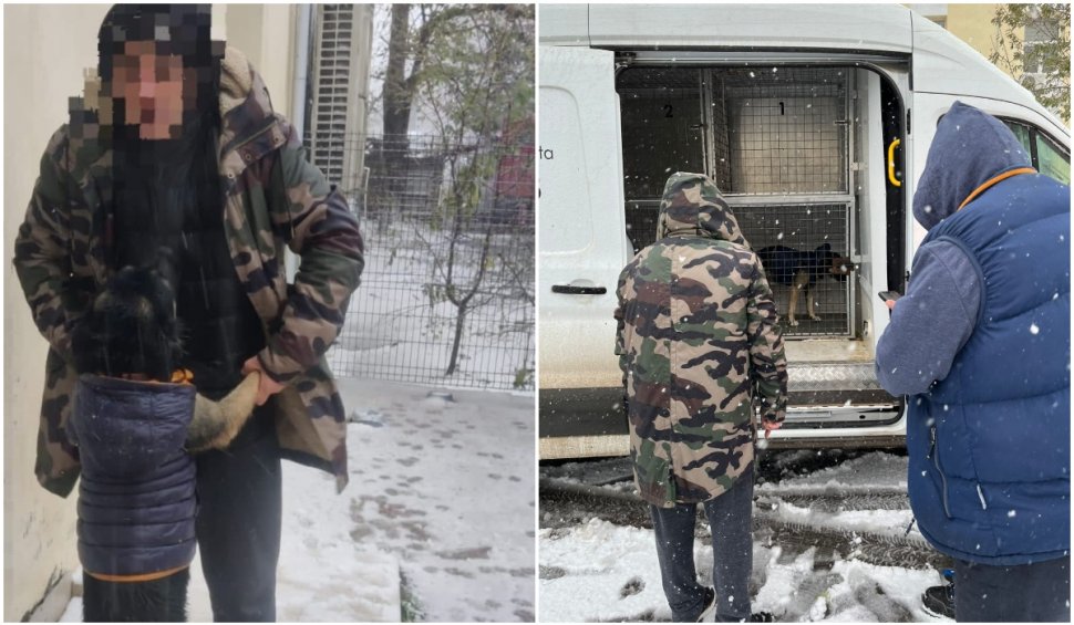 Un bărbat fără locuinţă a cerut ajutor poliţiştilor pentru el şi câinele lui, în Constanţa