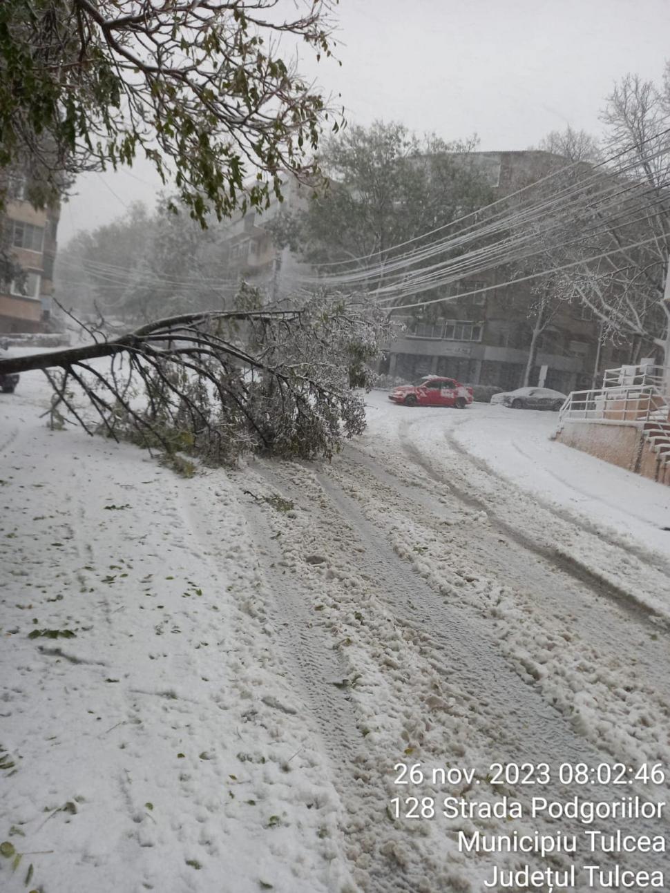 Şcoli închise în Brăila, Galaţi şi Tulcea | Elevii nu vor merge luni la cursuri din cauza viscolului 871555