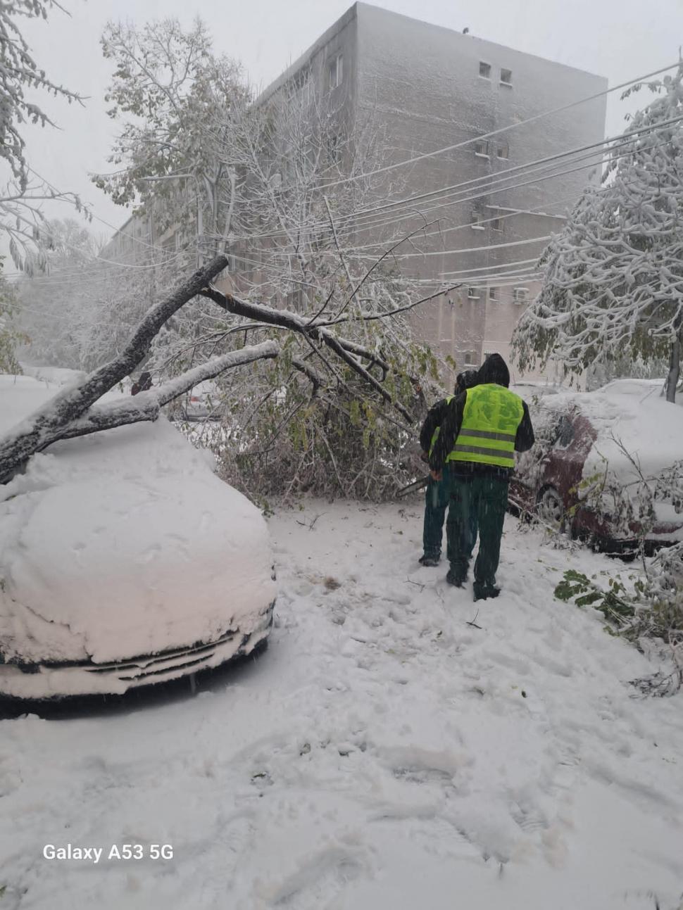 Şcoli închise în Brăila, Galaţi şi Tulcea | Elevii nu vor merge luni la cursuri din cauza viscolului 871556