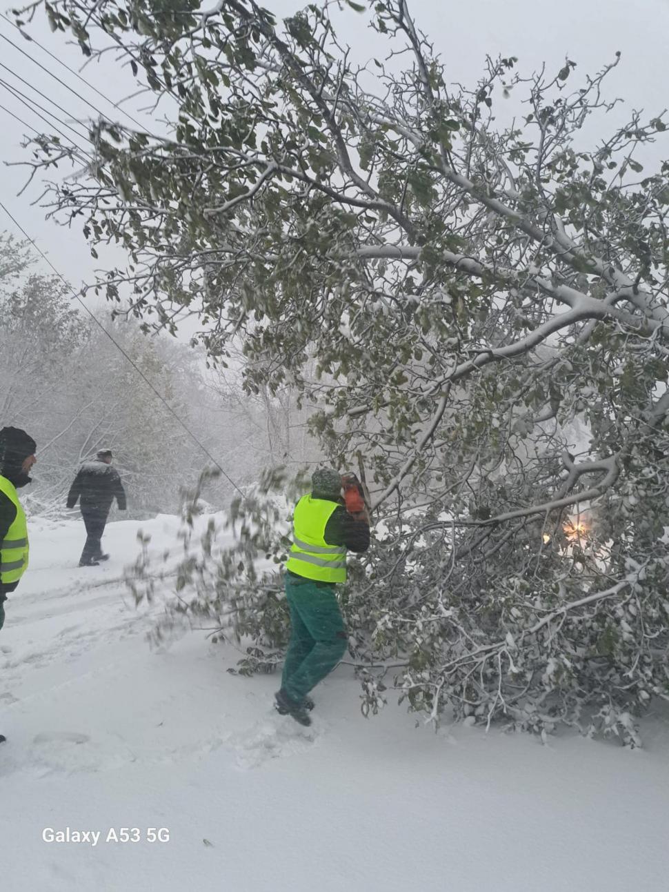 Şcoli închise în Brăila, Galaţi şi Tulcea | Elevii nu vor merge luni la cursuri din cauza viscolului 871557