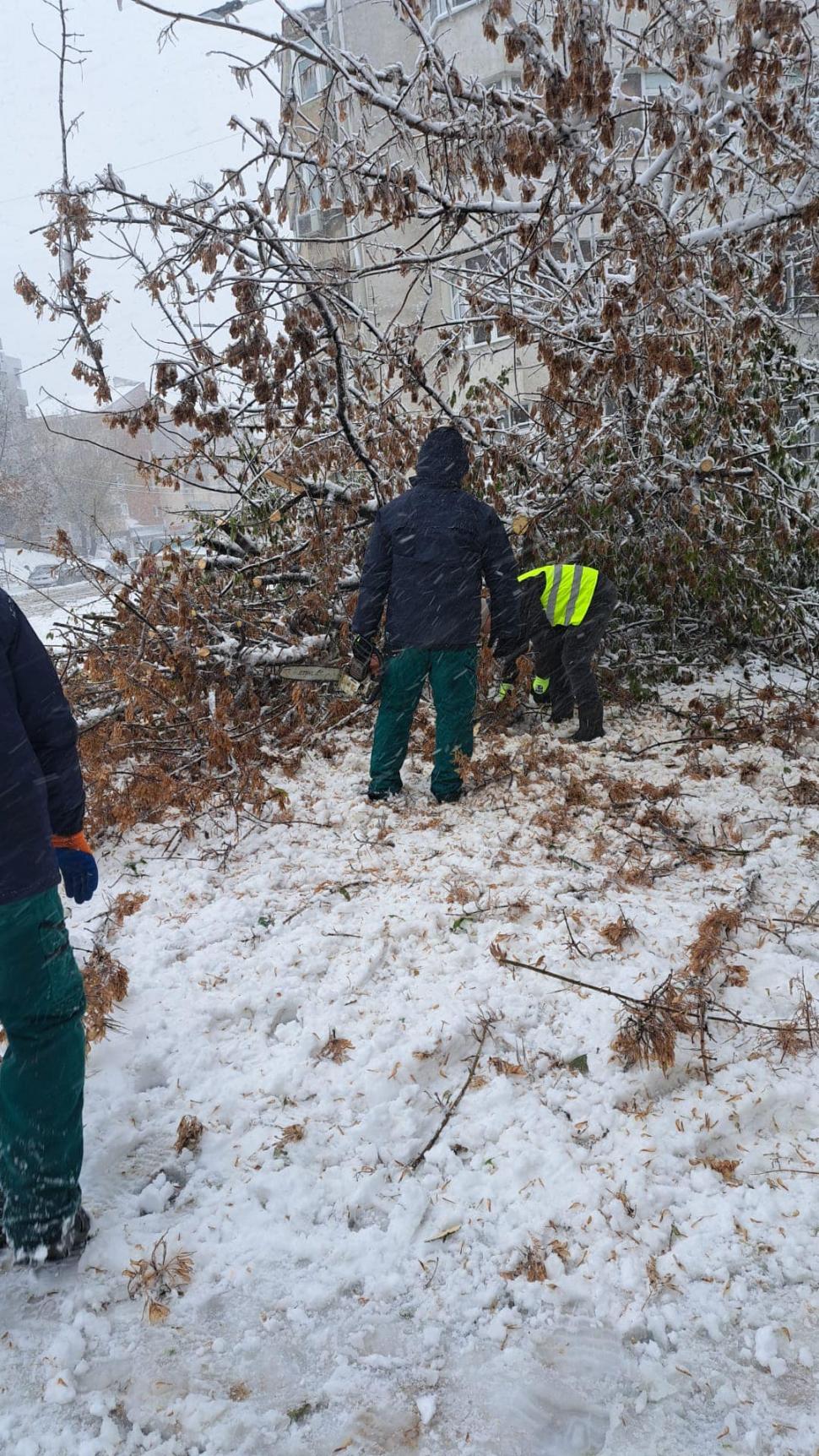 Şcoli închise în Brăila, Galaţi şi Tulcea | Elevii nu vor merge luni la cursuri din cauza viscolului 871559