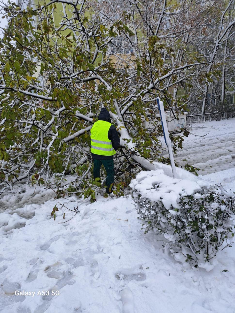 Şcoli închise în Brăila, Galaţi şi Tulcea | Elevii nu vor merge luni la cursuri din cauza viscolului 871566