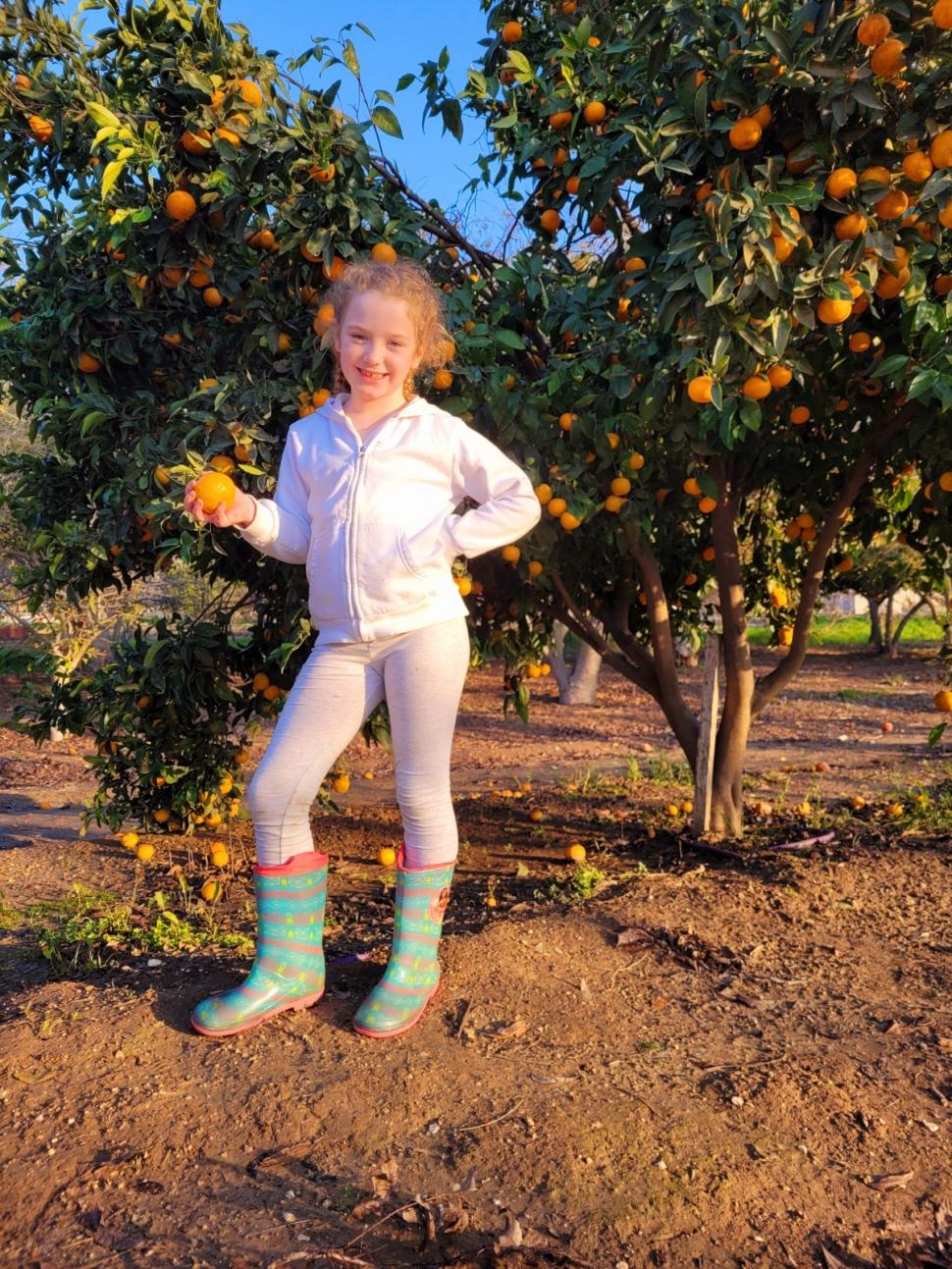 Teroriștii au eliberat al doilea grup de ostatici, după ore întregi de discuții | Imagini emoționante cu întâlnirea dintre ostaticii eliberați și familiile lor 871513