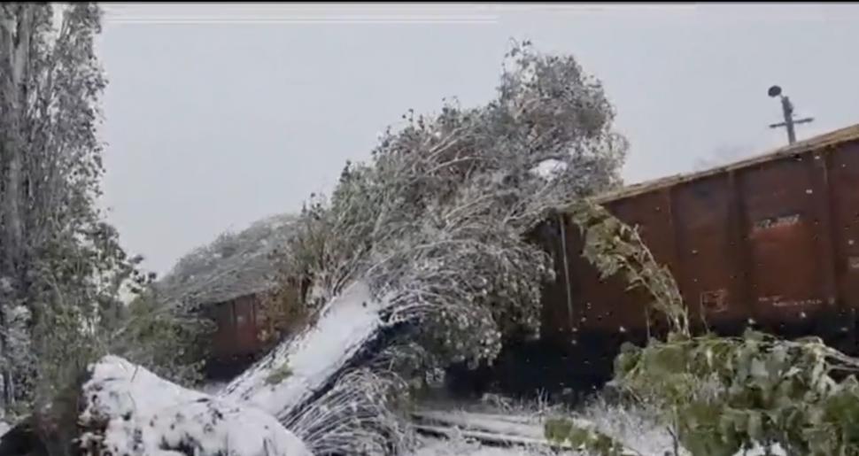 Fenomen meteo rar în România: Furtună de zăpadă cu tunete și fulgere în mai multe județe din țară 871794