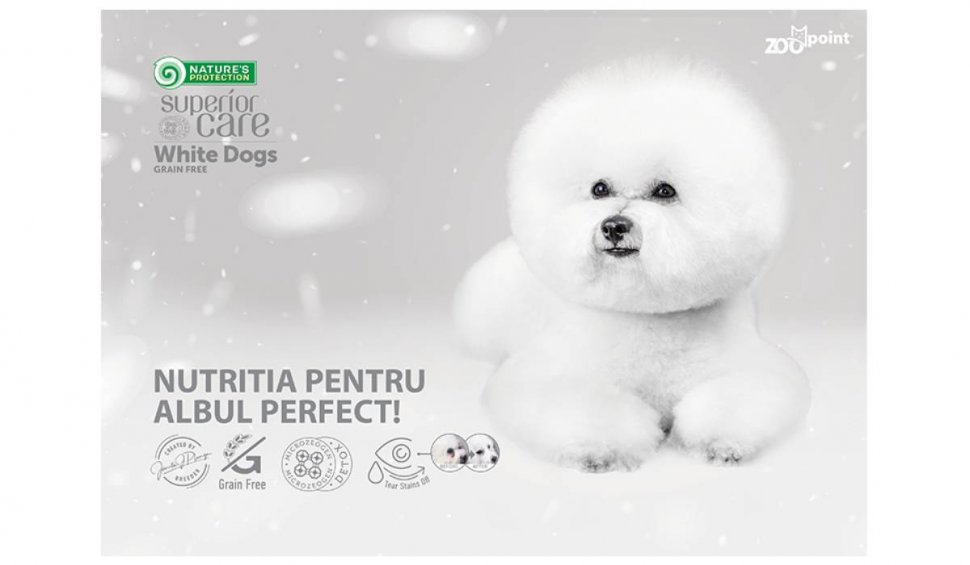 Hrană special creată pentru câini cu blană albă. Descoperă site-ul zoopoint.ro