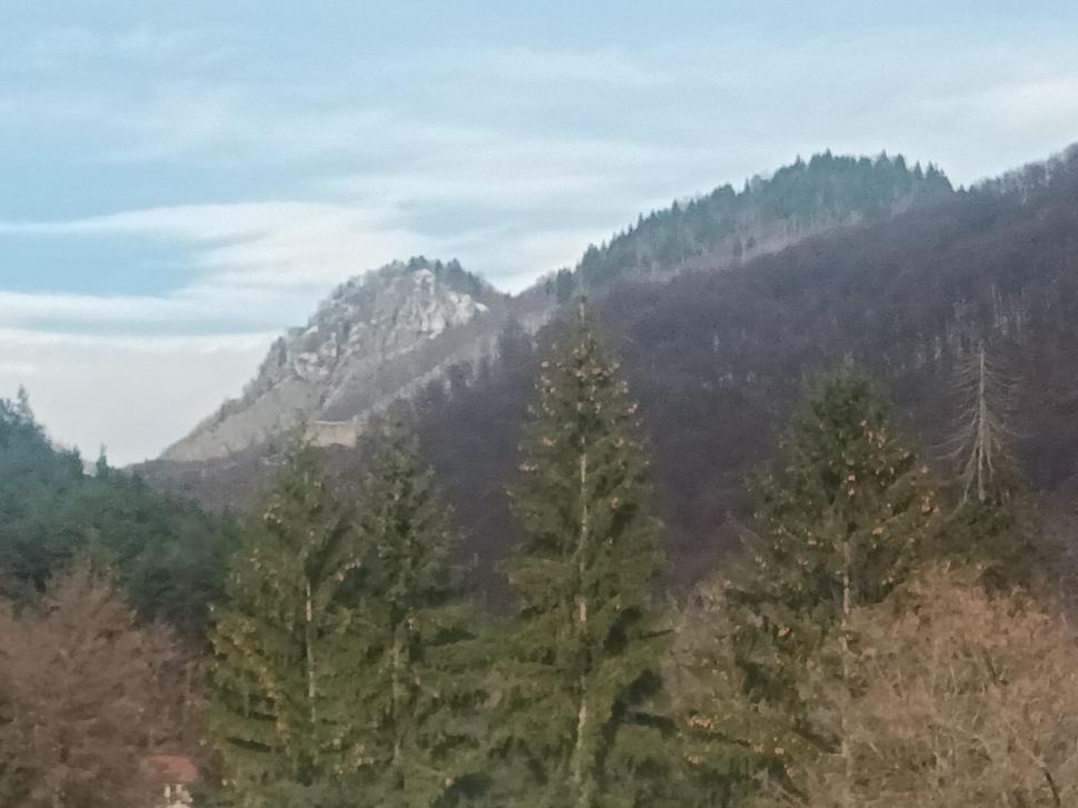 Au construit un castel, pentru a spune povestea Cetății Poenari 873188