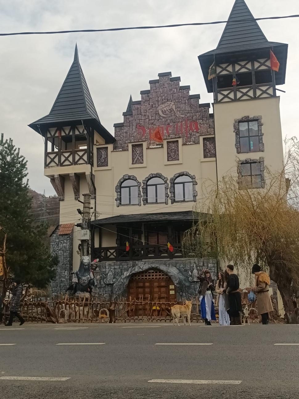 Au construit un castel, pentru a spune povestea Cetății Poenari 873193