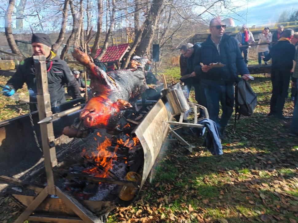 Au construit un castel, pentru a spune povestea Cetății Poenari 873194