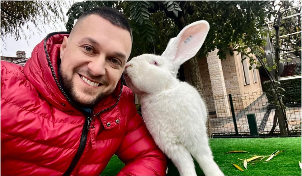 Cei mai mari iepuri din România au devenit campioni naționali | Sunt crescuți de un bărbat din Banat: "Am investit între 15 și 20 de mii de euro"