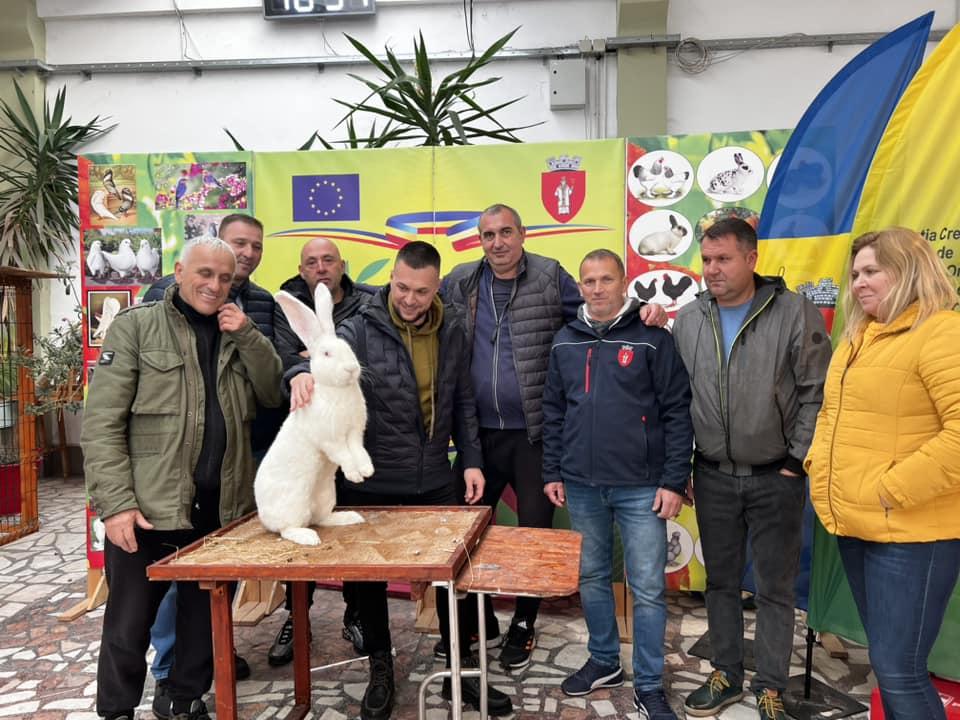 Cei mai mari iepuri din România au devenit campioni naționali | Sunt crescuți de un bărbat din Banat: "Am investit între 15 și 20 de mii de euro" 873563