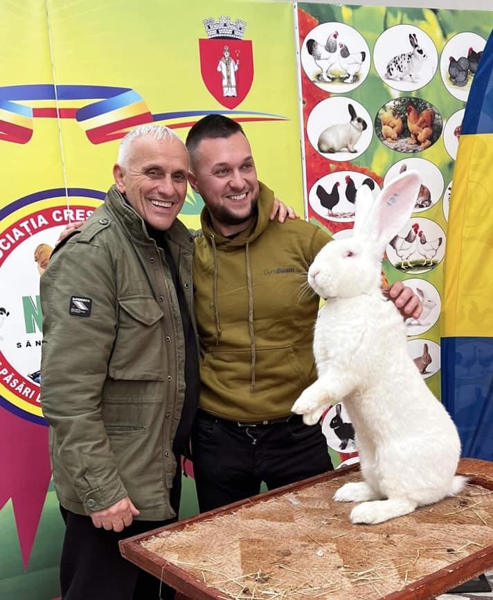 Cei mai mari iepuri din România au devenit campioni naționali | Sunt crescuți de un bărbat din Banat: "Am investit între 15 și 20 de mii de euro" 873564