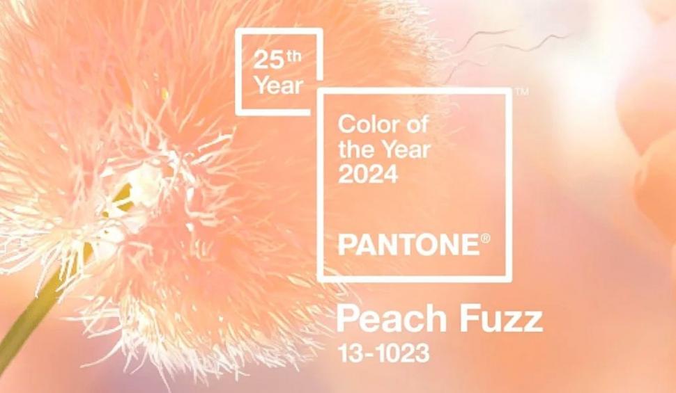 Culoarea anului 2024: Peach Fuzz