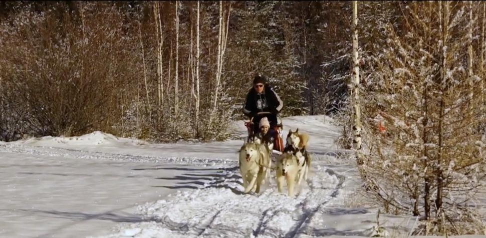 Cerere în căsătorie inedită, în vârful munților din Harghita, într-o sanie trasă de câini Husky: ”Este cea mai bună experiență pe care am avut-o vreodată” 874281