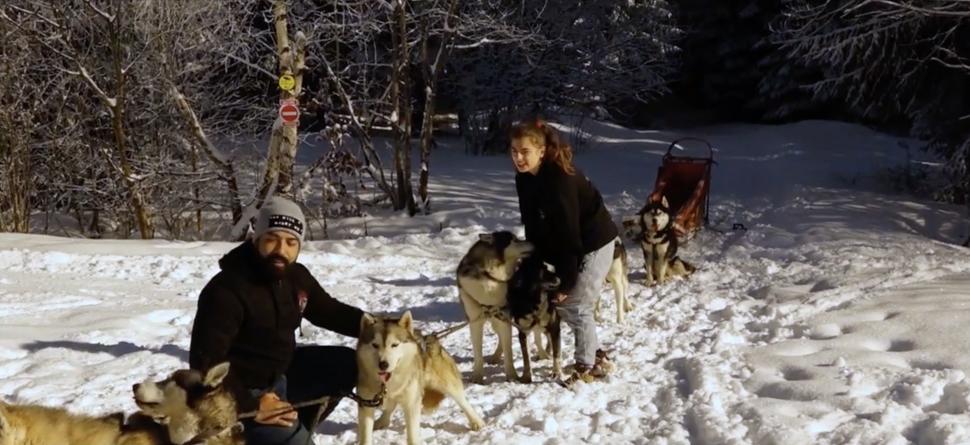 Cerere în căsătorie inedită, în vârful munților din Harghita, într-o sanie trasă de câini Husky: ”Este cea mai bună experiență pe care am avut-o vreodată” 874283