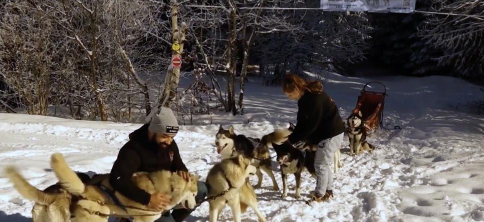 Cerere în căsătorie inedită, în vârful munților din Harghita, într-o sanie trasă de câini Husky: ”Este cea mai bună experiență pe care am avut-o vreodată” 874284