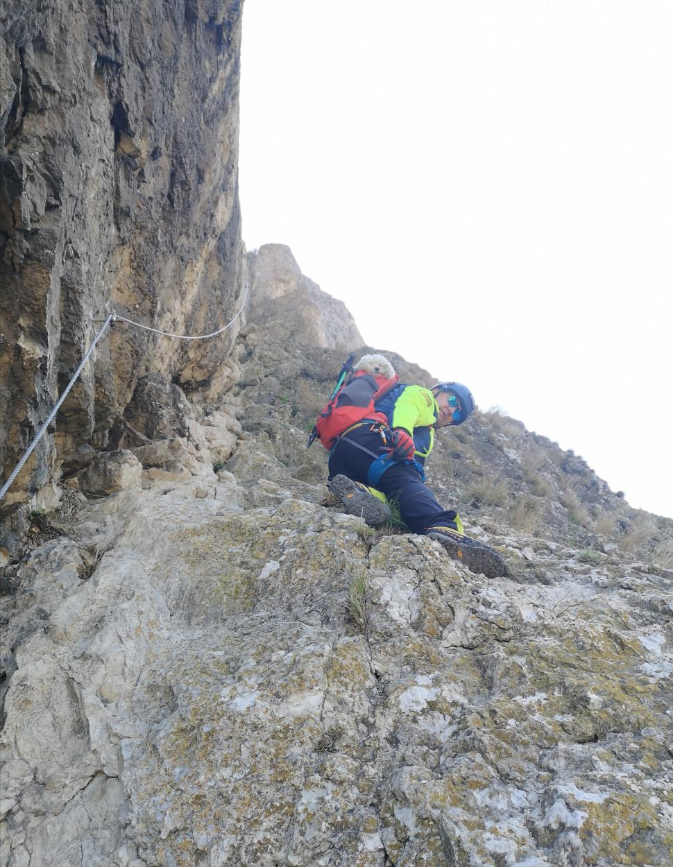 Zoe Alpinista, prima cățelușă cu legitimație oficială de montaniard. O lume întreagă se-ntinde la lăbuțele ei 874947