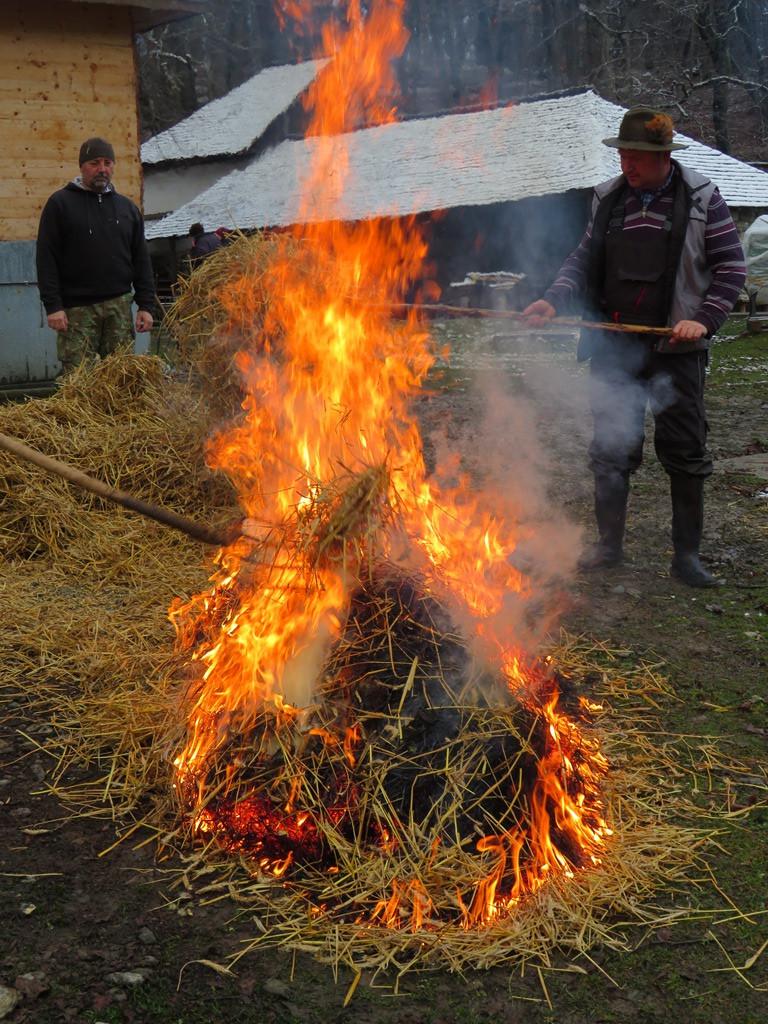 Se taie porcul, în stil tradițional, la Muzeul Astra Sibiu 875381