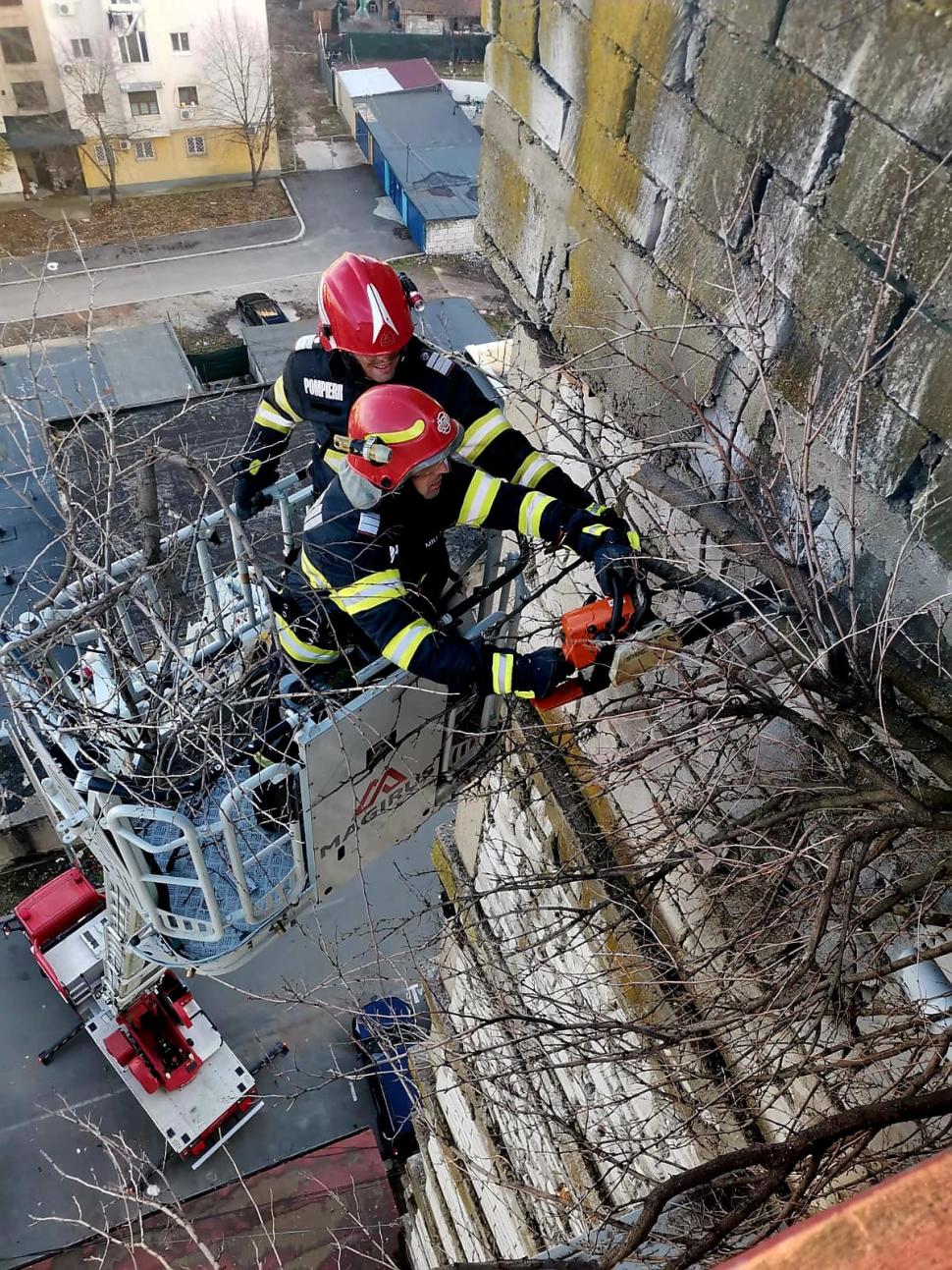 Un copac a crescut pe fațada unui bloc din Giurgiu, la etajul opt al clădirii. Locatarii au cerut ajutorul pompierilor 875919