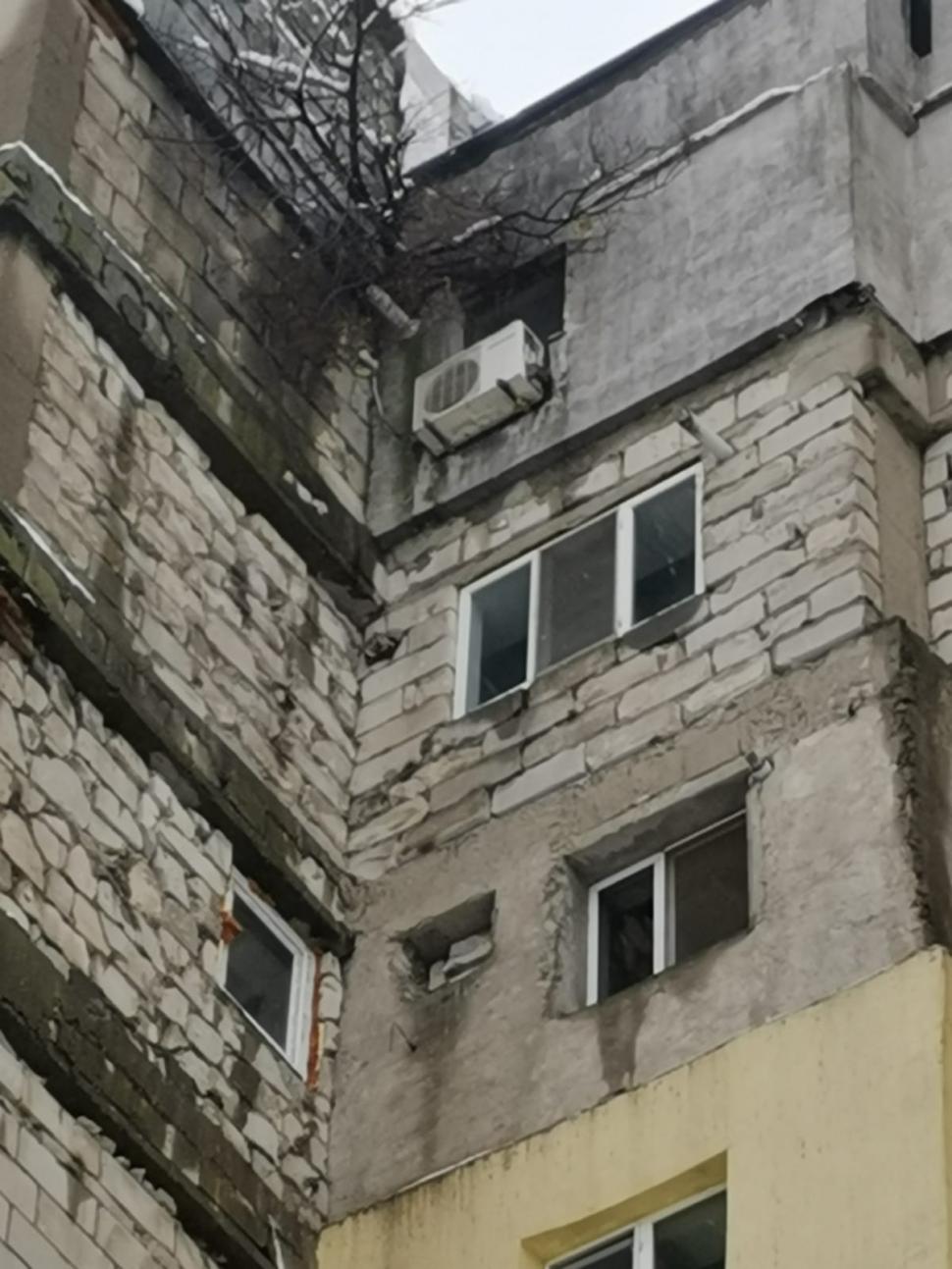 Un copac a crescut pe fațada unui bloc din Giurgiu, la etajul opt al clădirii. Locatarii au cerut ajutorul pompierilor 875920